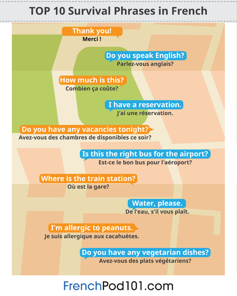 Need the right French for shy moments? Get practical vocabulary and sentence examples to navigate social situations more easily in France.