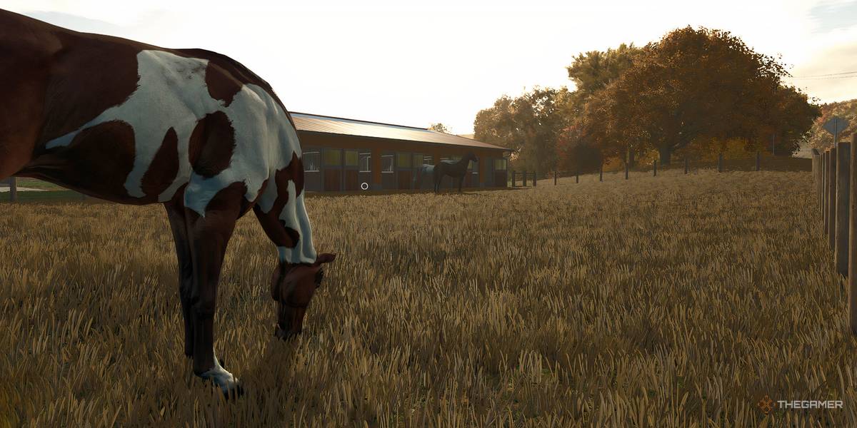 How to start a 2 horse farm? Follow these steps now!