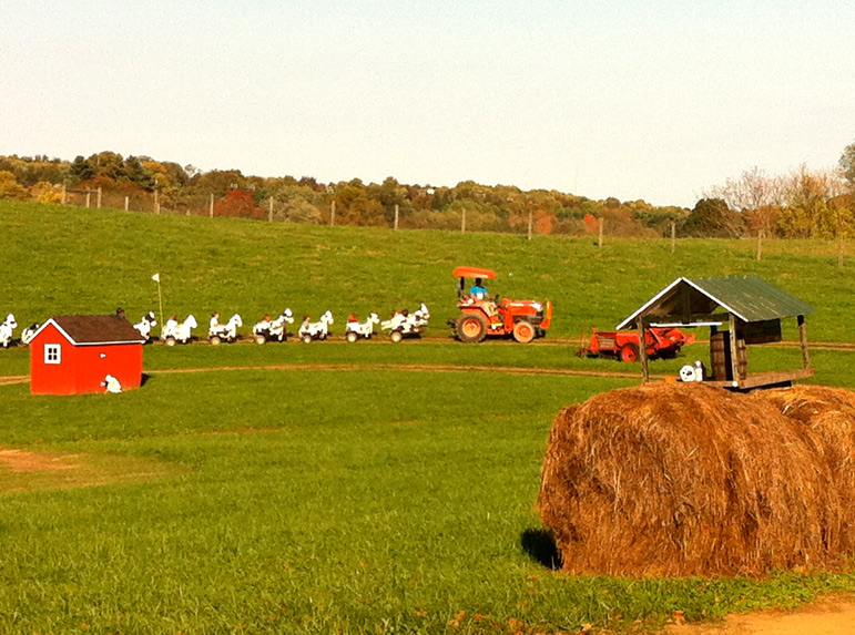Is merryland farm worth visiting? See why families love spending a day at this amazing place.