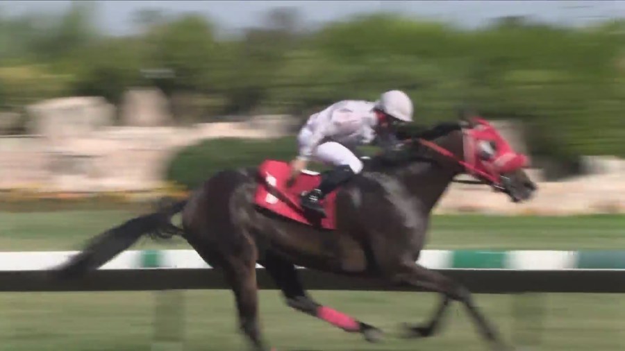 What makes fresno fair racing so much fun? Discover the unique thrill of live horse races and easy betting.