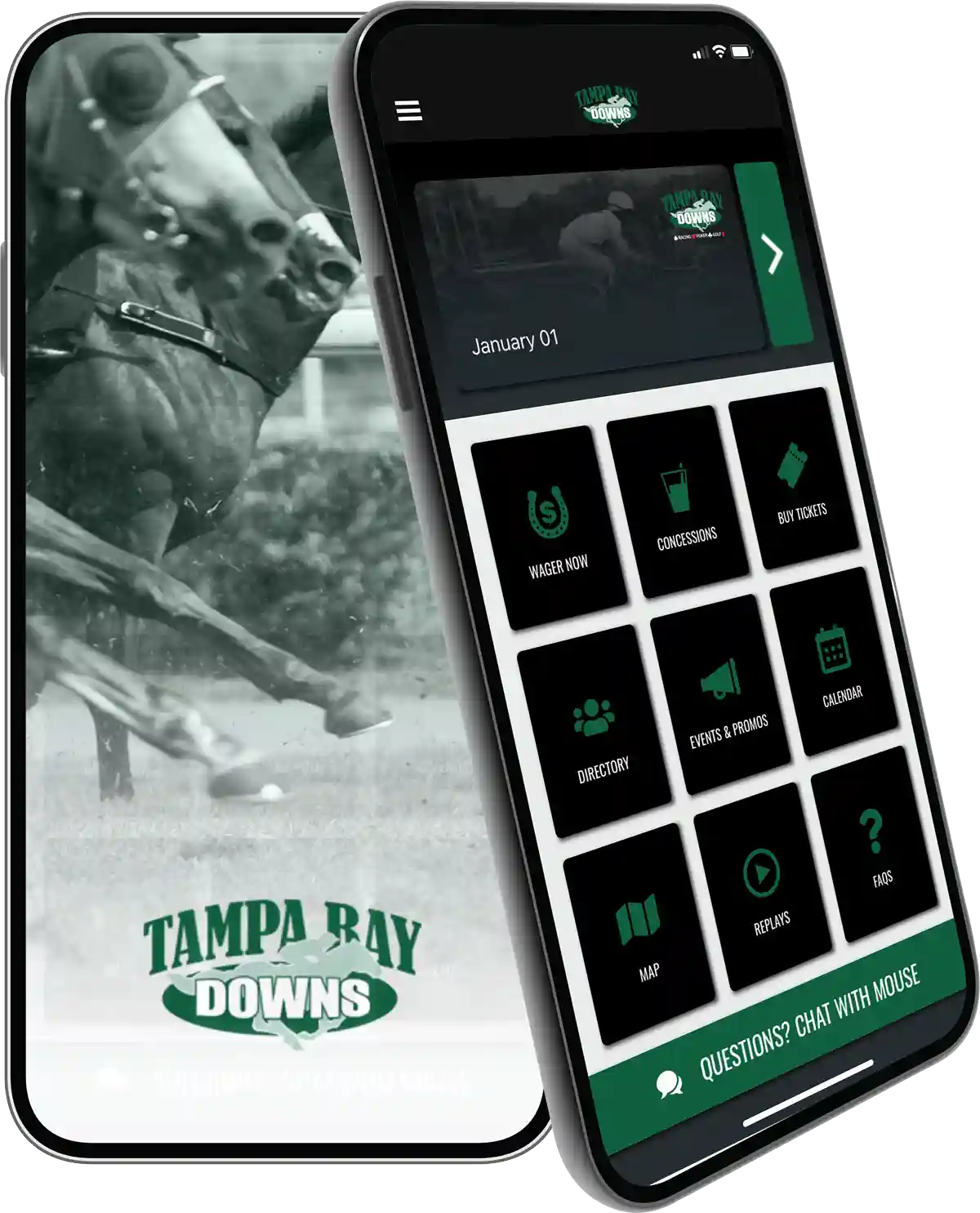 How do you check the Tampa Bay Downs calendar? Access the official schedule and race days info.