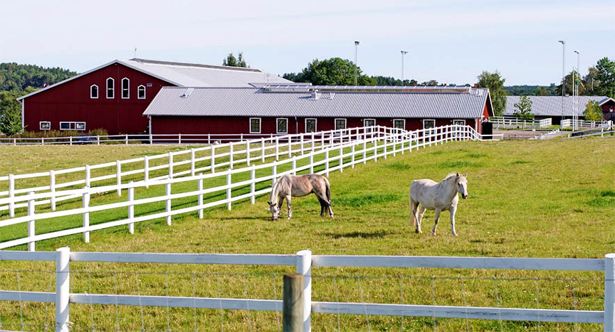 How to start a 2 horse farm? Follow these steps now!