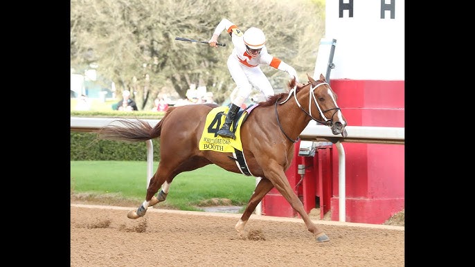 How to Watch the Whitmore Stakes Live? Your Best Options for TV and Online Streaming.