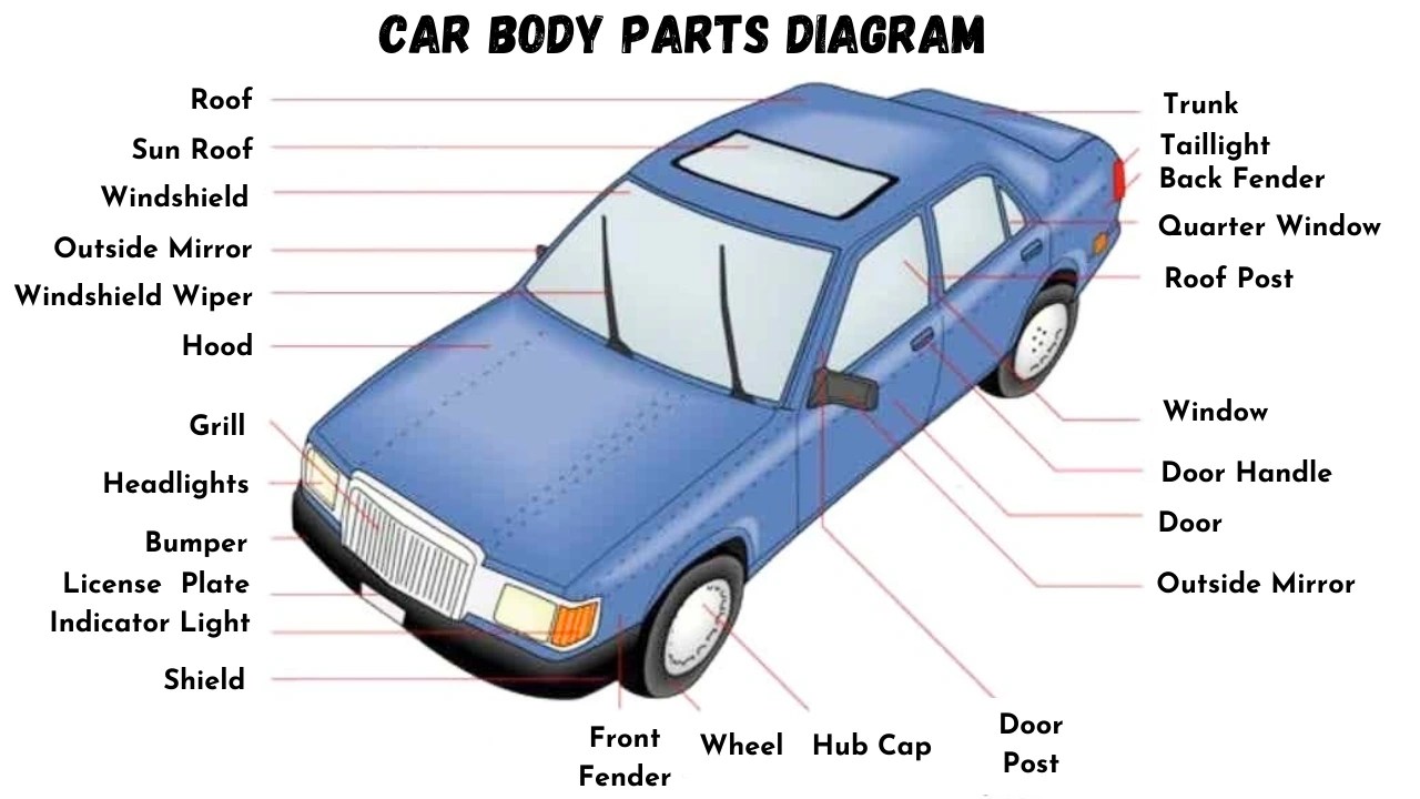 Car Basics: What is Left and Right on a Car Explained Simply