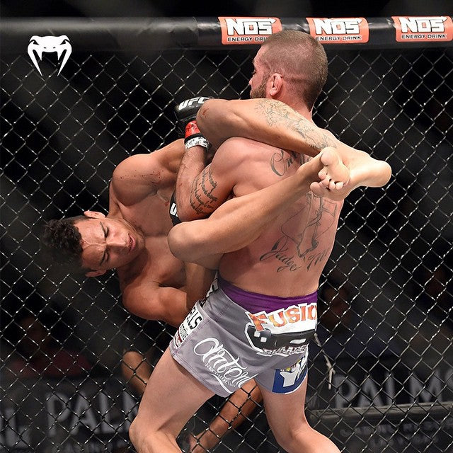 Understanding the basic rules of international combat sports (A quick guide for new fans watching)