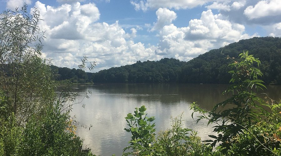 Discover the Beauty of Morgan Falls Overlook Now