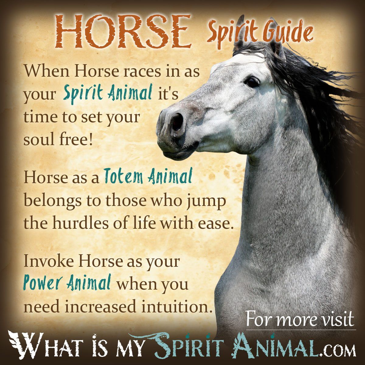 The symbolism of the horse and tiger: Exploring cultural meanings and interpretations worldwide.