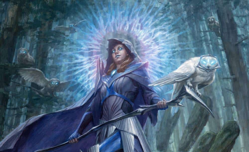Top Wizard Races: Ranking the best races for wizard class