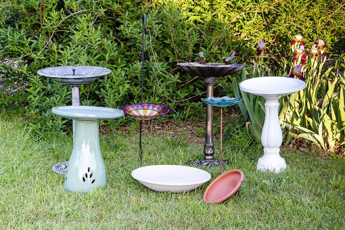 What material is best for a bird bath? Learn about ceramic, metal, and plastic options for your yard.
