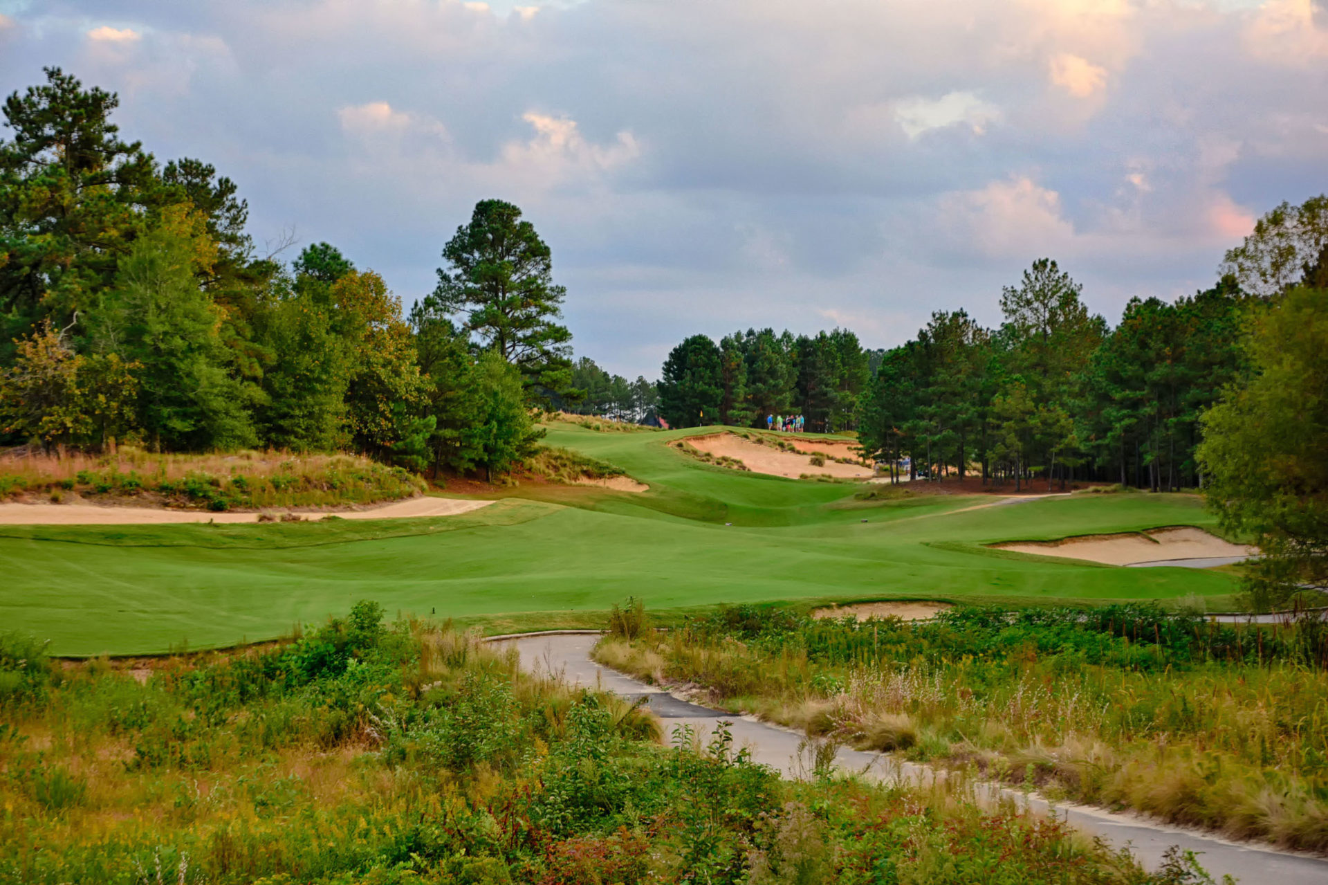 Why is Tobacco Road Golf So Highly Rated? Discover the Secrets Behind Its Legendary Status.