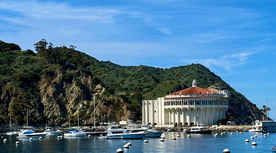 Where exactly can you see more content from catalina b? Check out these top recommended places online.