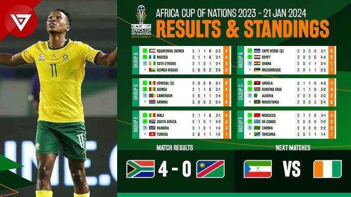 Where can I see the african nations cup table? (Find all current team standings here easily)