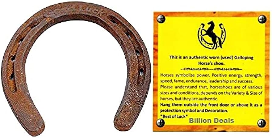 Where can I find great horseshoe print items? Look at these popular and stylish options.