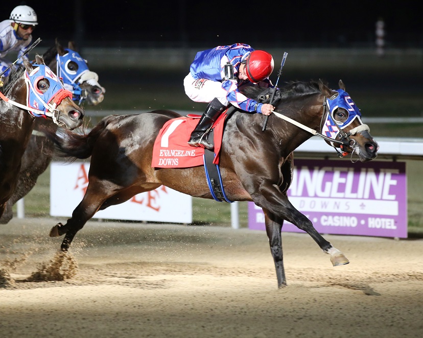Where can I find Evangeline Downs en vivo streams? Watch the best live horse racing action here!
