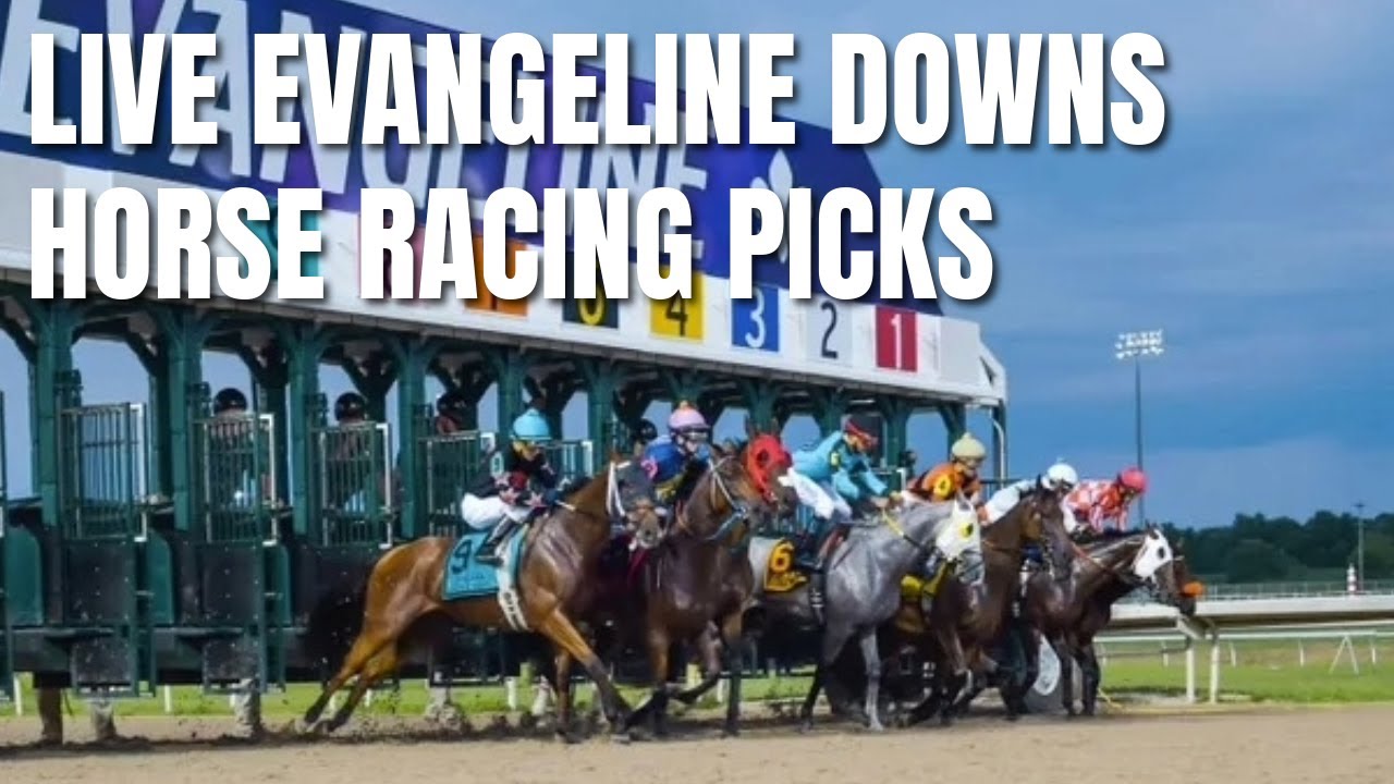 Where can I find Evangeline Downs en vivo streams? Watch the best live horse racing action here!
